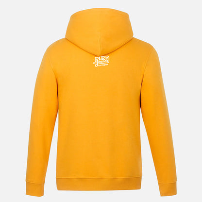 Le Hoodie Team Région Gold